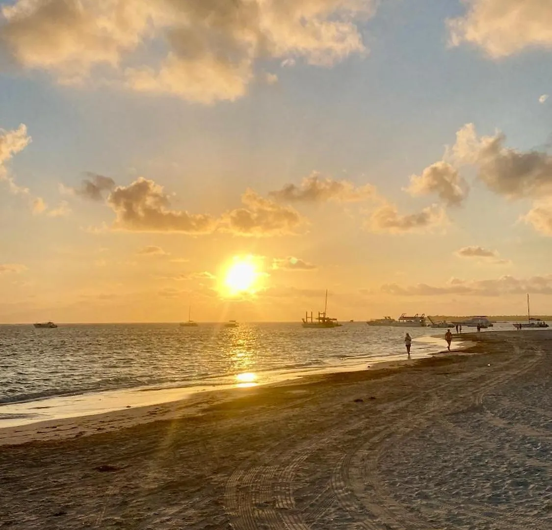 Amazing Apartment Pool And Beach Life In Los Corals Punta Cana